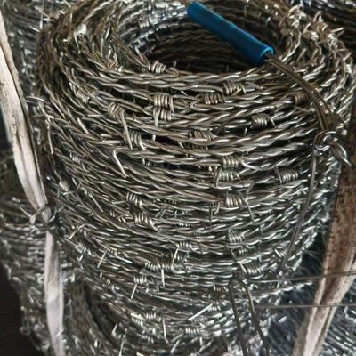 Moderate Stainless Steel Mesh with 1 635 Mesh Count and Mill Edge / Slit Edge