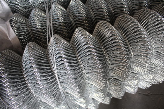 Galvanized Chain Link Fence with Powder Coated Finish