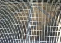 Hot Dip Galvanized Industrial Steel Grating Serrated Bar Walkway Platform Webforge