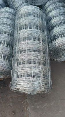 Chain Link Barrier Powder Coated Coating Perfect Combination Of Strength And Aesthetics